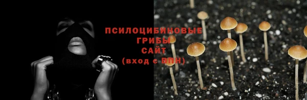 трава Абинск