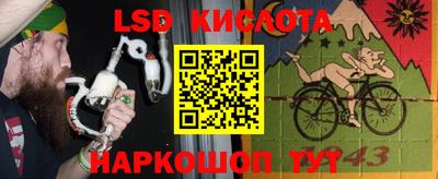 прущие крисы Краснознаменск