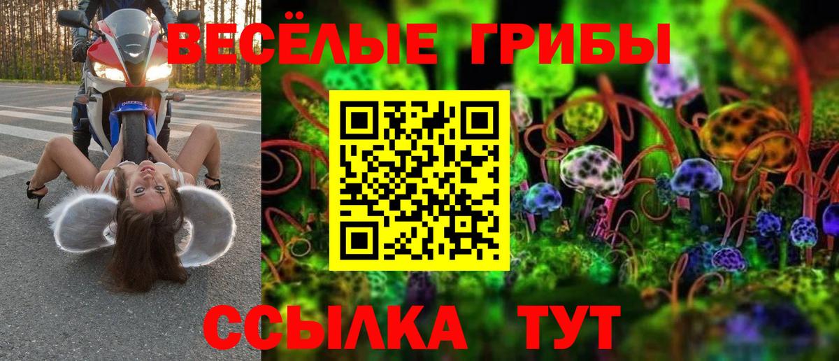 Псилоцибиновые грибы Psilocybine cubensis  Вход с VPN  Псилоцибиновые грибы мицелий  Курчатов 
